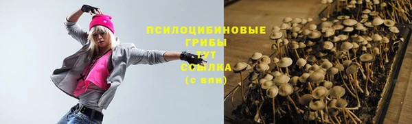 соль ск Армянск