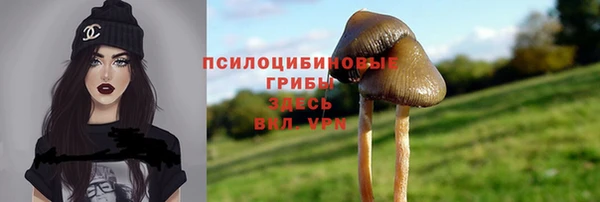 гашиш Аркадак