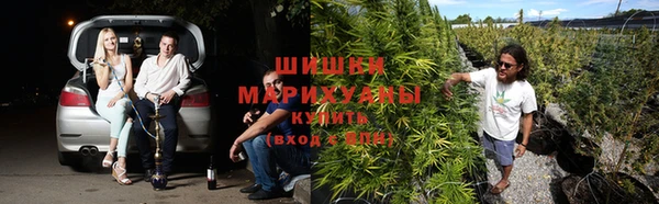 ешки Арсеньев