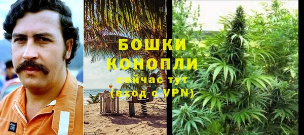 ешки Арсеньев