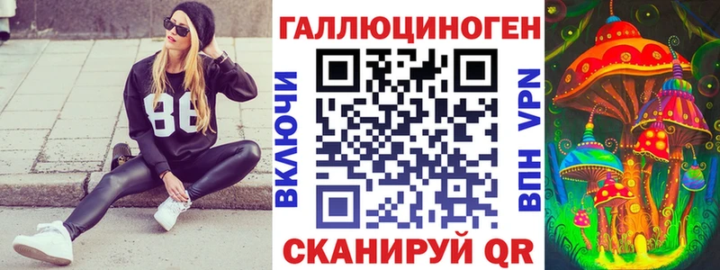 закладки  Суровикино  Псилоцибиновые грибы мицелий 